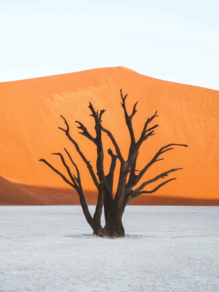 Sossusvlei and Deadvlei by Paul Prim