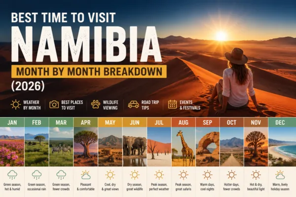 Month by month guide to visiting Namibia, showing weather and wildlife conditions for each month from January to December alongside desert and wildlife photographs