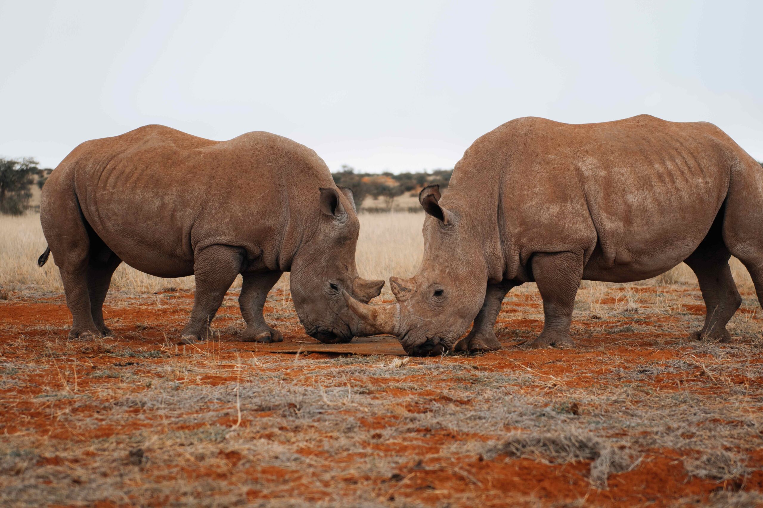 Namibia