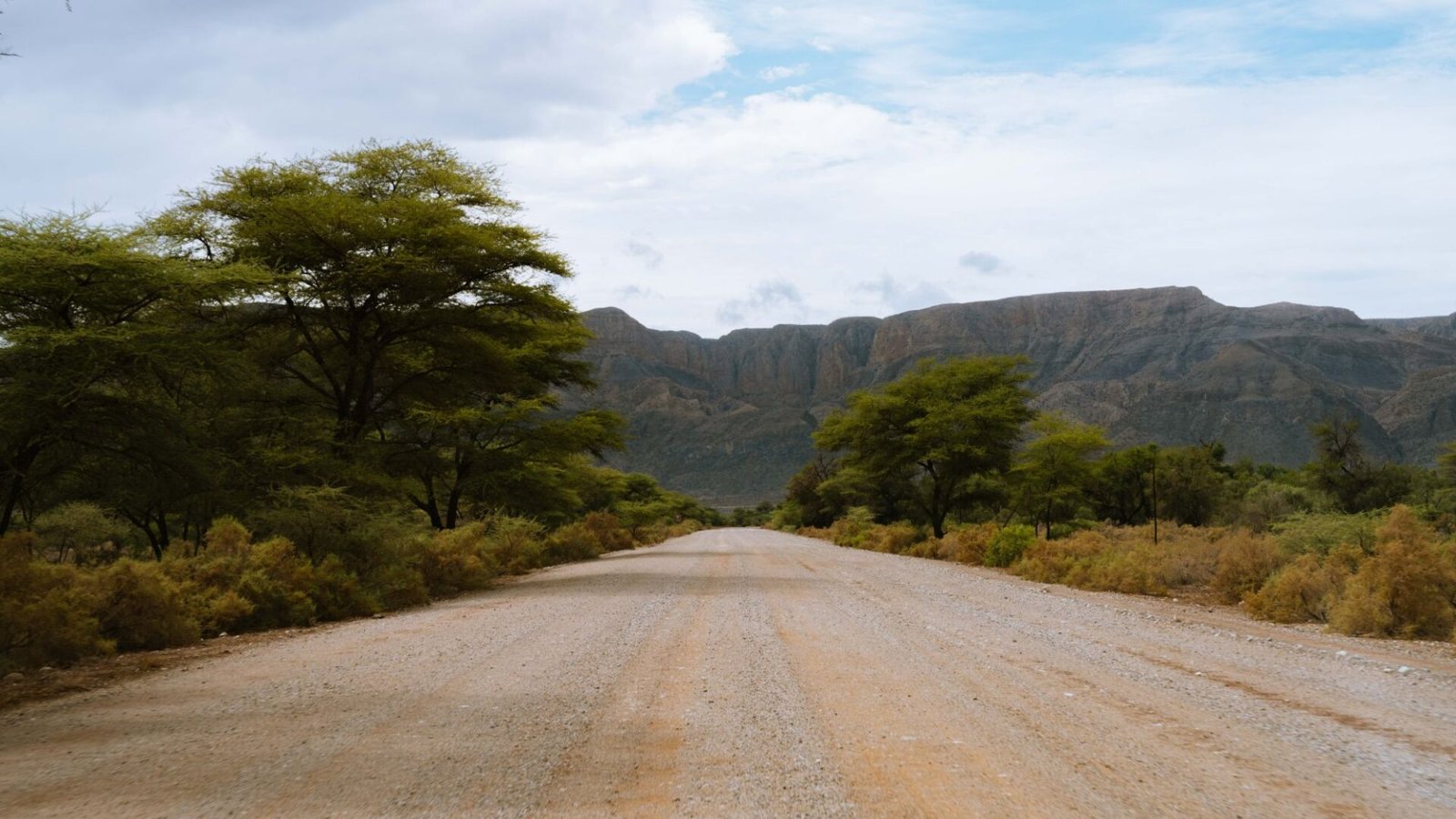 A wide gravel road in Namibia running towards a flat topped mountain escarpment, with camel thorn trees on both sides