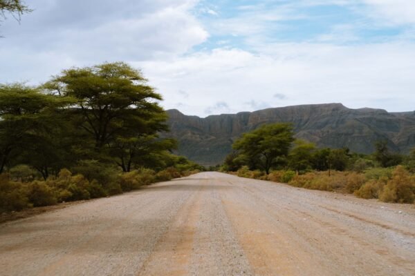 A wide gravel road in Namibia running towards a flat topped mountain escarpment, with camel thorn trees on both sides